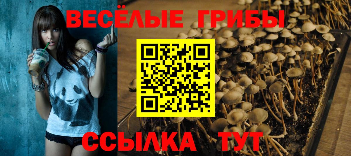 Псилоцибиновые грибы ЛСД Сафоново
