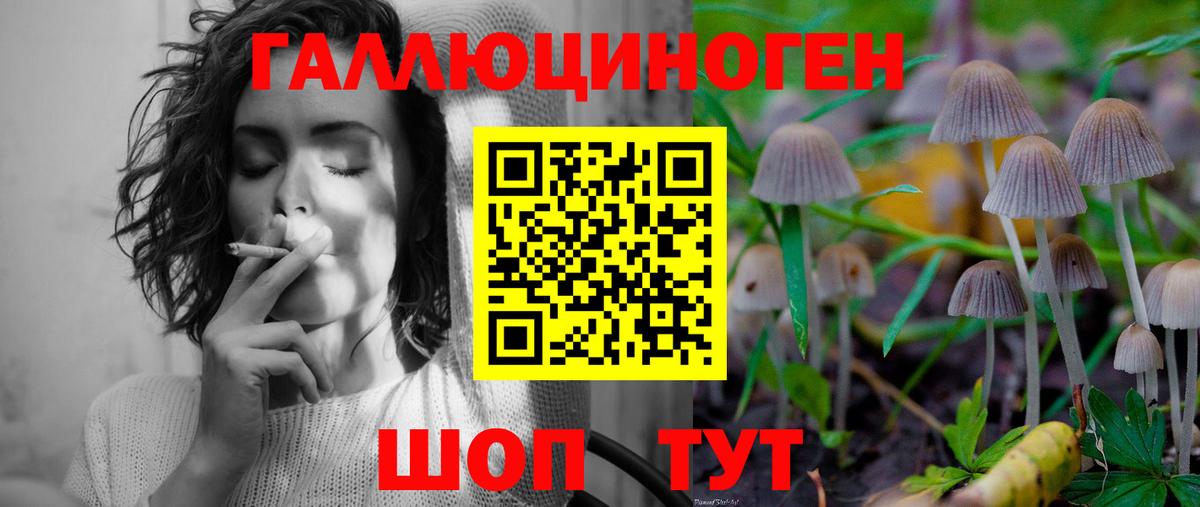 Псилоцибиновые грибы Cubensis  Псилоцибиновые грибы Magic Shrooms  Вход с VPN  Сафоново 